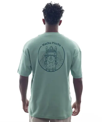 Camiseta Kayland Wide Lhama Verde Menta