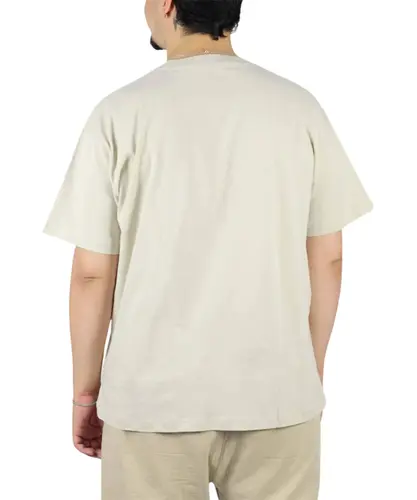 Camiseta Vans Classic Taupe Mist