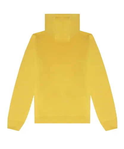 VANS CLASSIC PO HOODIE II