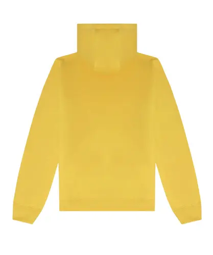 VANS CLASSIC PO HOODIE II