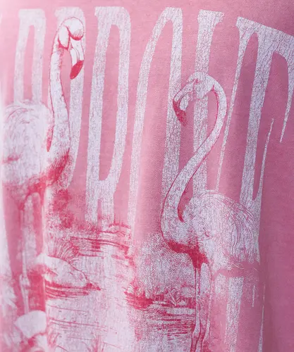 Camiseta Approve Huge Animals Flamingo Rosa