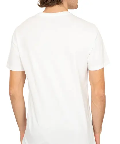 Camiseta Quiksilver New Omni Snow White