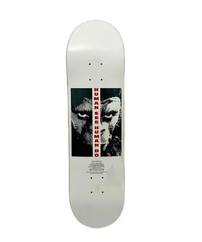 SHAPE ELEMENT POTA ARISE DECK 8.250