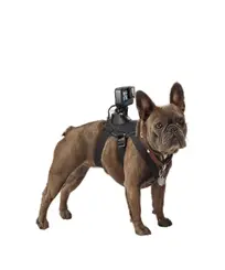 CINTURÃO CANINO GO PRO
