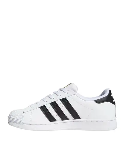 TENIS SUPERSTAR C K