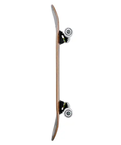 SKATE DROPDEAD INICIANTE COLLECTION SERIE MORCEGO