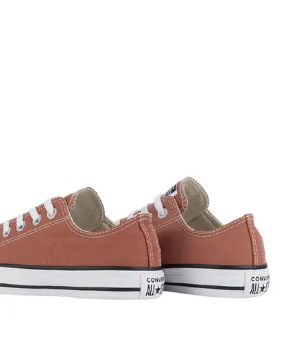 CHUCK TAYLOR ALL STAR SEASONAL