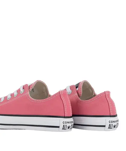 CHUCK TAYLOR ALL STAR SEASONAL