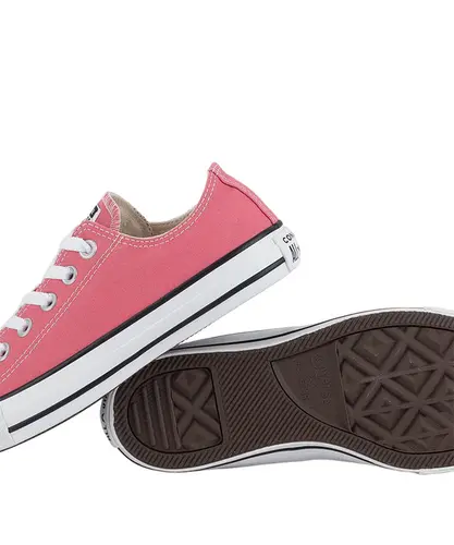 CHUCK TAYLOR ALL STAR SEASONAL