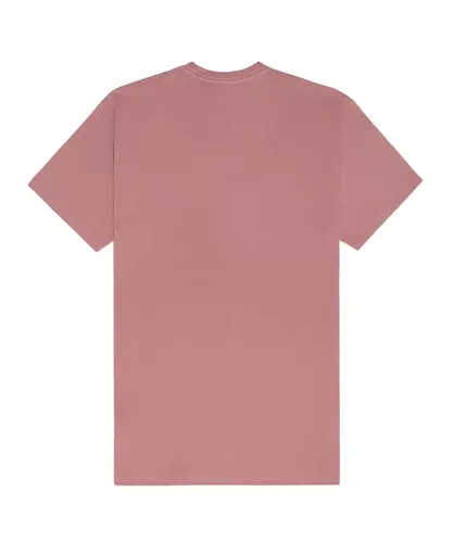 Camiseta Vans Easy Box - Rose Black