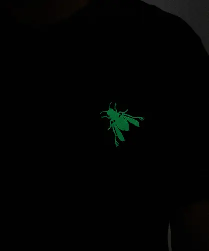T-SHIRT REGULAR VESPA CAVEIRA