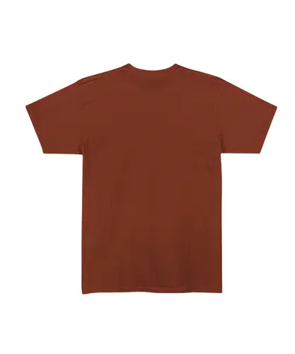 Camiseta Grizzly Mini OG Bear Tee Rust