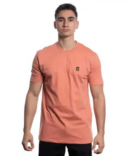 CAMISETA BASICA DRAGAO