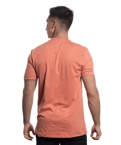 CAMISETA BASICA DRAGAO