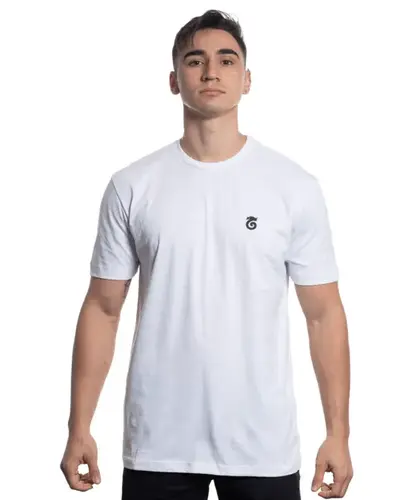 CAMISETA BASICA DRAGAO