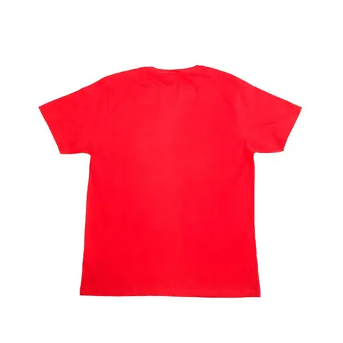 CAMISETA BASICA DRAGAO
