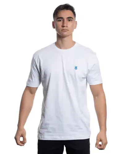 CAMISETA SILK  DRAGAO AZUL