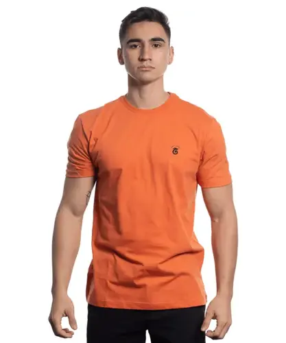 CAMISETA SILK DRAGAO FOGO