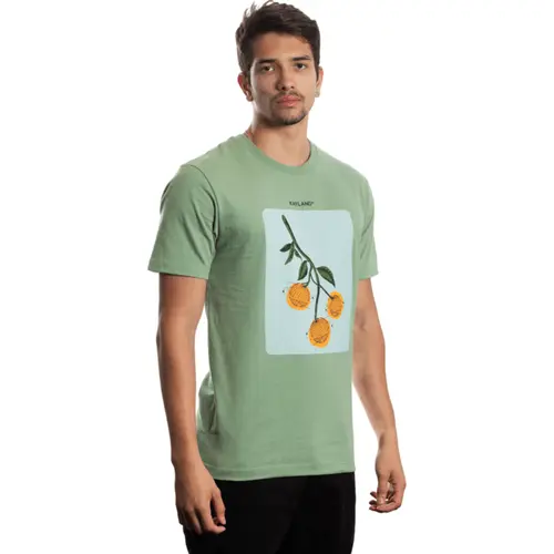 CAMISETA COMFORT FRUIT