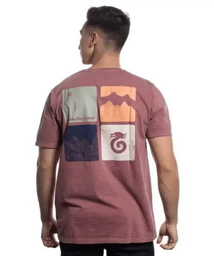 CAMISETA STONE PATAGONIA
