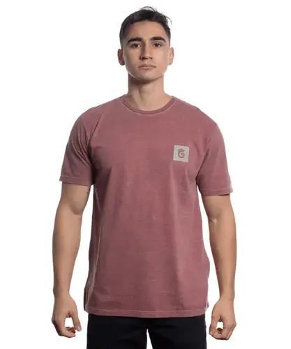CAMISETA STONE PATAGONIA