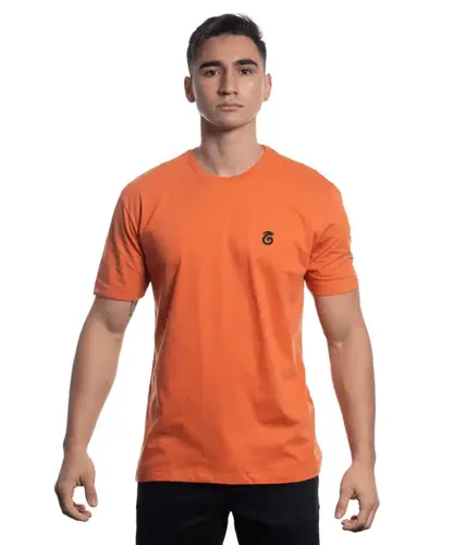 CAMISETA SILK PINGUIM
