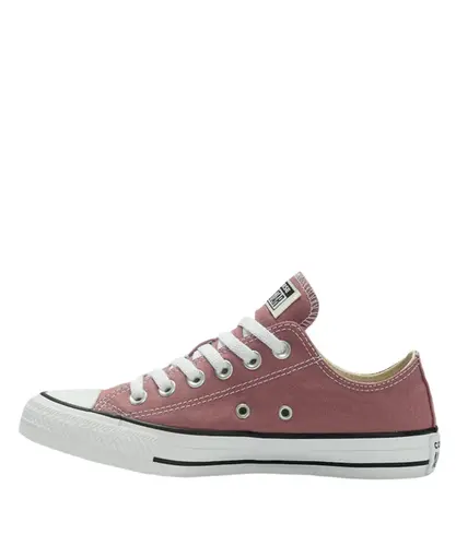 Tênis Converse Chuck Taylor All Star Seasonal Colors Marrom Nude